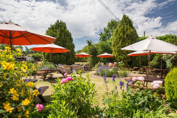 Jak urządzić ogródek letni w restauracji